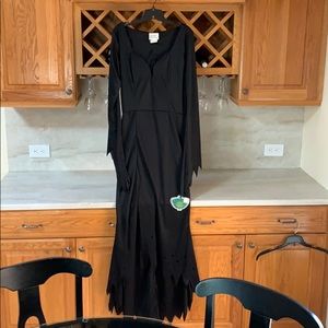 Elvira Mistress of Darkness Dress Costume